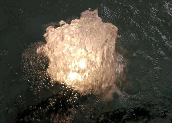1 Inch Dancing Fountain Nozel Dengan Lamp Fountain Jet Nozzle