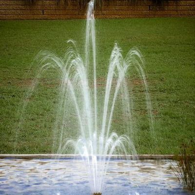 1 "Brass Ajustable 3 Layers Flower Blossom Fountain Nozel