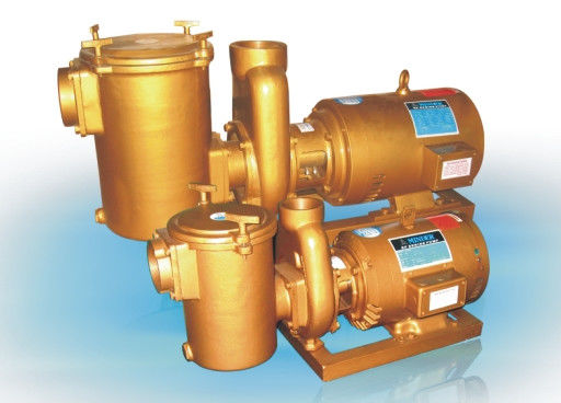 Brass 3HP Swimming Pool Water Pumps